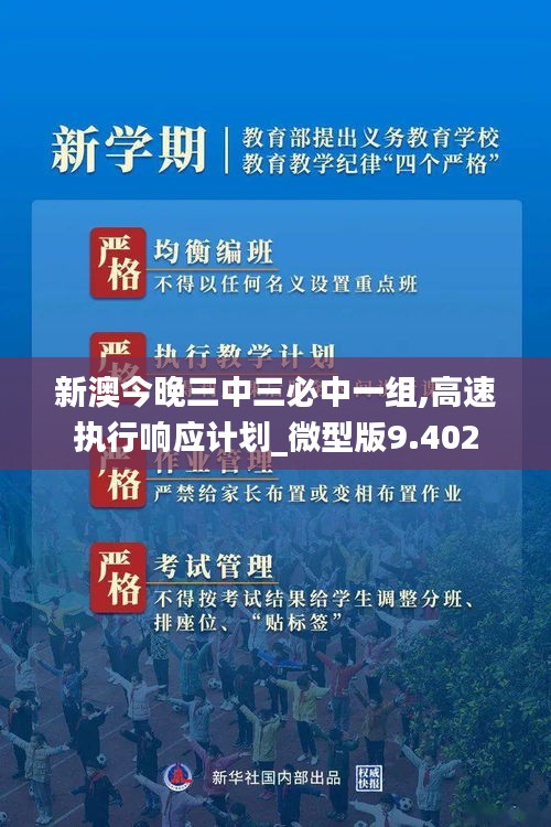 新澳今晚三中三必中一组,高速执行响应计划_微型版9.402