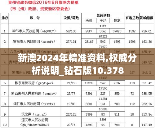 新澳2024年精准资料,权威分析说明_钻石版10.378