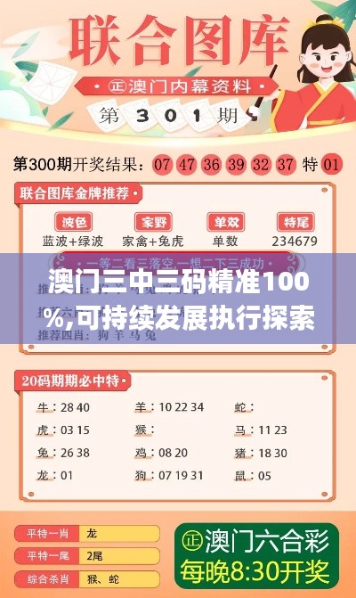 澳门三中三码精准100%,可持续发展执行探索_标配版1.271