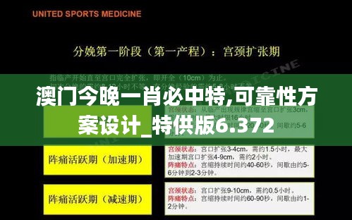 澳门今晚一肖必中特,可靠性方案设计_特供版6.372