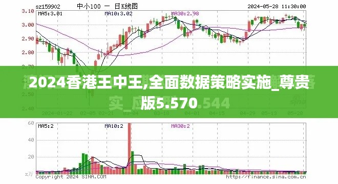 2024香港王中王,全面数据策略实施_尊贵版5.570