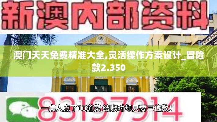 澳门天天免费精准大全,灵活操作方案设计_冒险款2.350