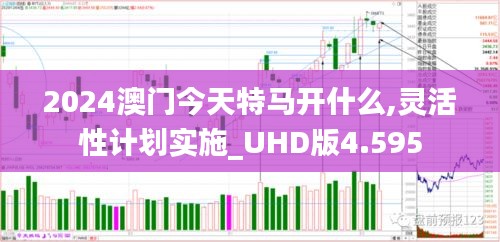 2024澳门今天特马开什么,灵活性计划实施_UHD版4.595