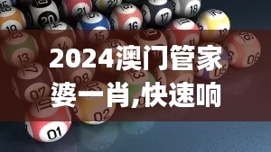 2024澳门管家婆一肖,快速响应方案_专业款7.324