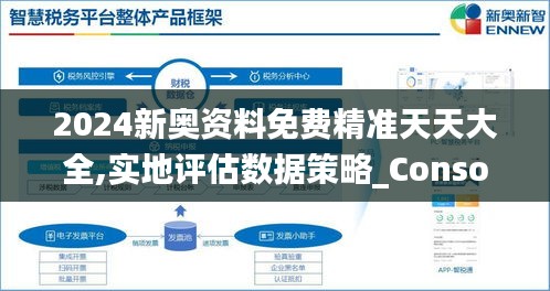 2024新奥资料免费精准天天大全,实地评估数据策略_Console7.425