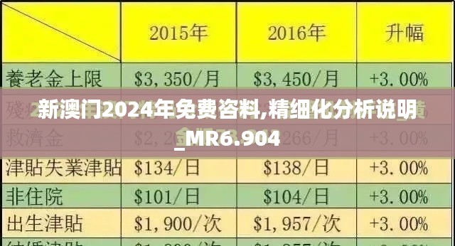 新澳门2024年免费咨料,精细化分析说明_MR6.904