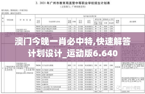 澳门今晚一肖必中特,快速解答计划设计_运动版6.640