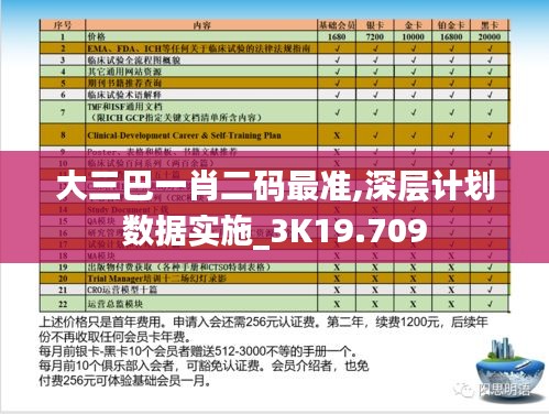 大三巴一肖二码最准,深层计划数据实施_3K19.709