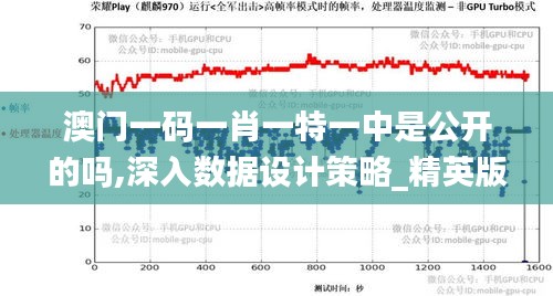 澳门一码一肖一特一中是公开的吗,深入数据设计策略_精英版5.536