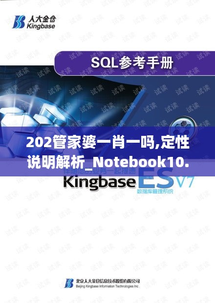 202管家婆一肖一吗,定性说明解析_Notebook10.651