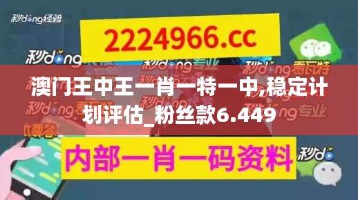 澳门王中王一肖一特一中,稳定计划评估_粉丝款6.449