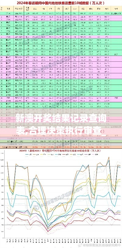 新澳开奖结果记录查询表,合理决策执行审查_AP19.502