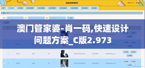 澳门管家婆-肖一码,快速设计问题方案_C版2.973