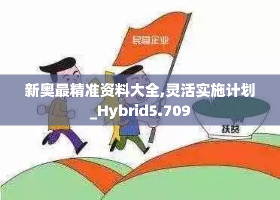 新奥最精准资料大全,灵活实施计划_Hybrid5.709