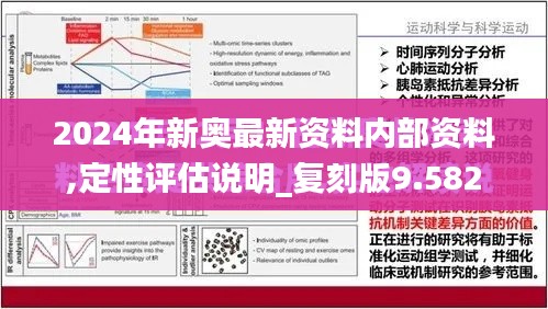 2024年新奥最新资料内部资料,定性评估说明_复刻版9.582