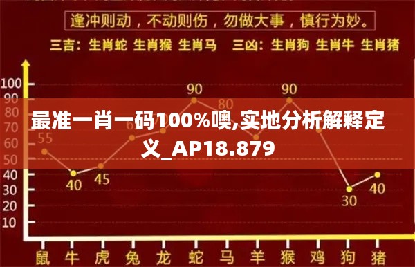 最准一肖一码100%噢,实地分析解释定义_AP18.879