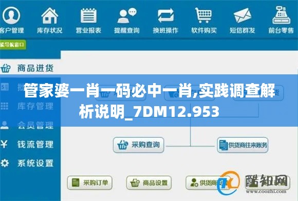 管家婆一肖一码必中一肖,实践调查解析说明_7DM12.953