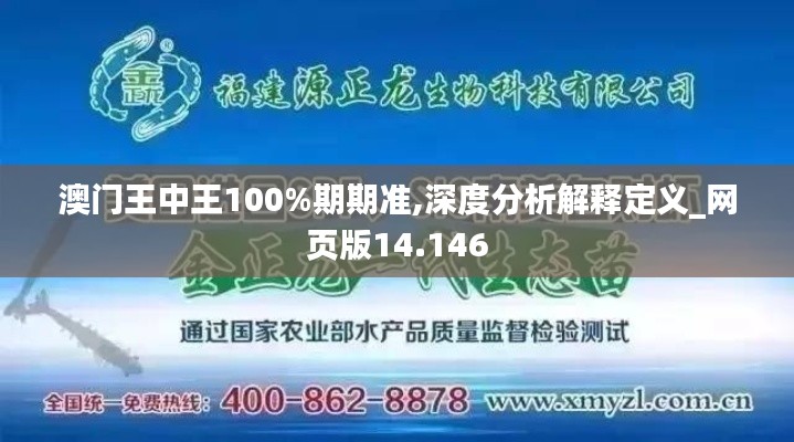 澳门王中王100%期期准,深度分析解释定义_网页版14.146